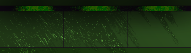 Grunge Green